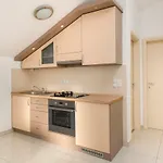 Panorama Lux Apartment